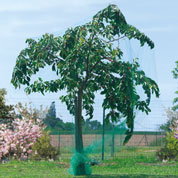 Red anti aves para arboles frutales - 4x6 m